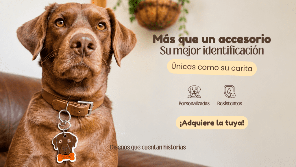 Sam Pet Post (Post para Instagram (45))